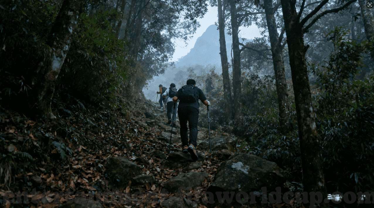 澳彩网站-澳彩网站，合法性、风险与应对策略